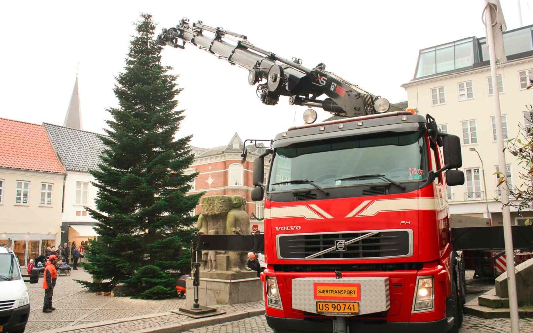 Juletræ på Rådhustorvet i Vejle hejses på plads