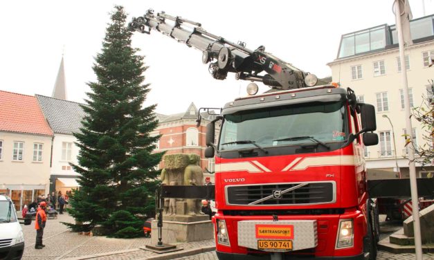 Juletræ på Rådhustorvet i Vejle hejses på plads